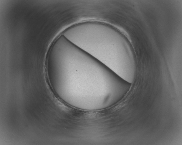 X0000073991279200608211032
