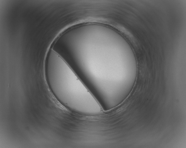 X0000073991280200608211032