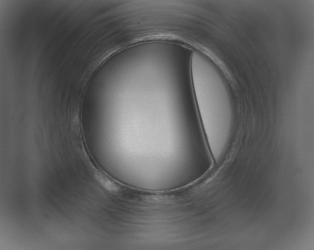 X0000073991281200608211032