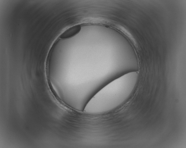 X0000073991283200608211032