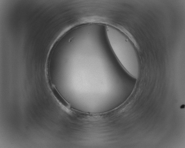 X0000073991285200608211032