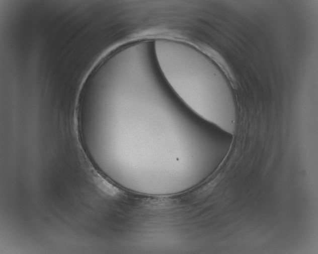 X0000073991288200608211032