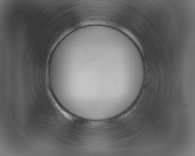 X0000073991290200608211032