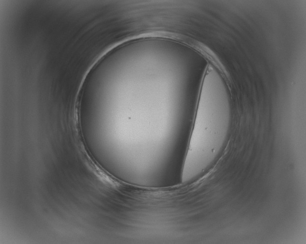 X0000073991292200608211032