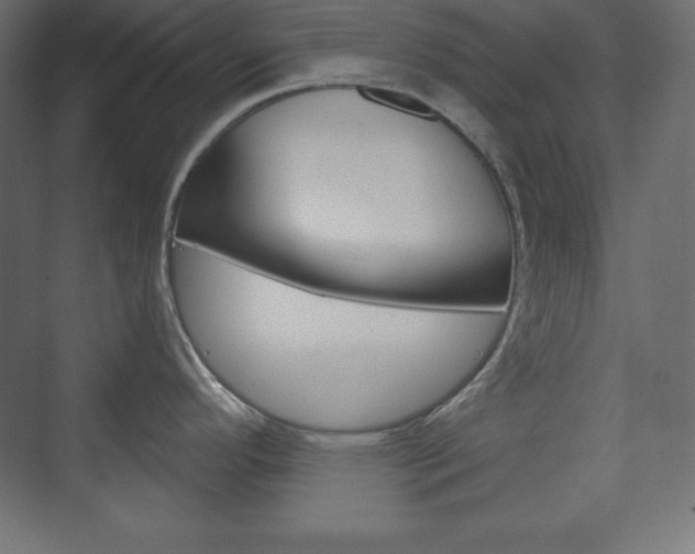 X0000073991296200608211032