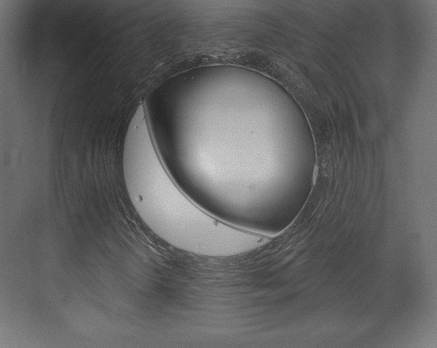 X0000073991298200608211031