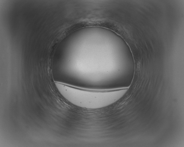 X0000073991300200608211031