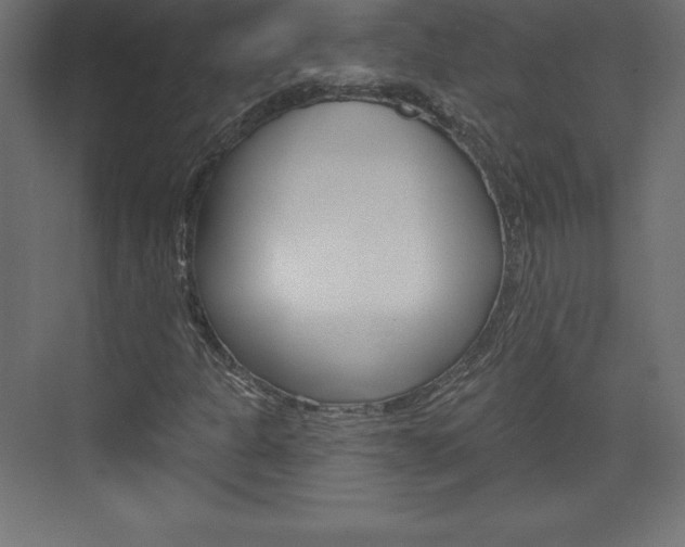 X0000073991301200608211031
