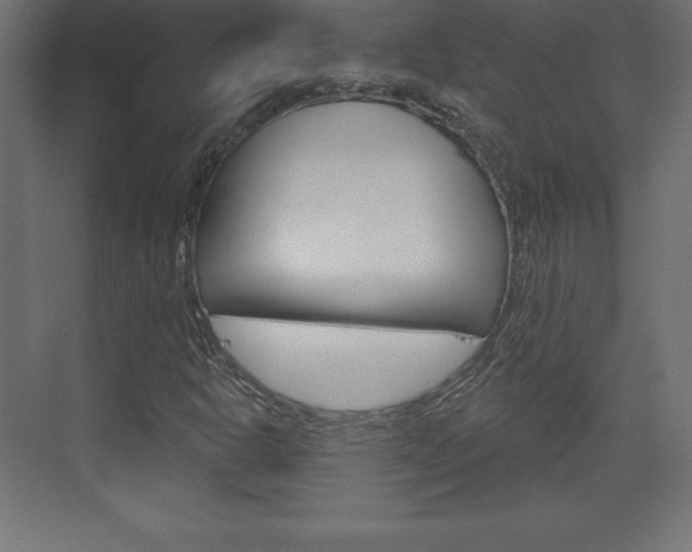 X0000073991302200608211031