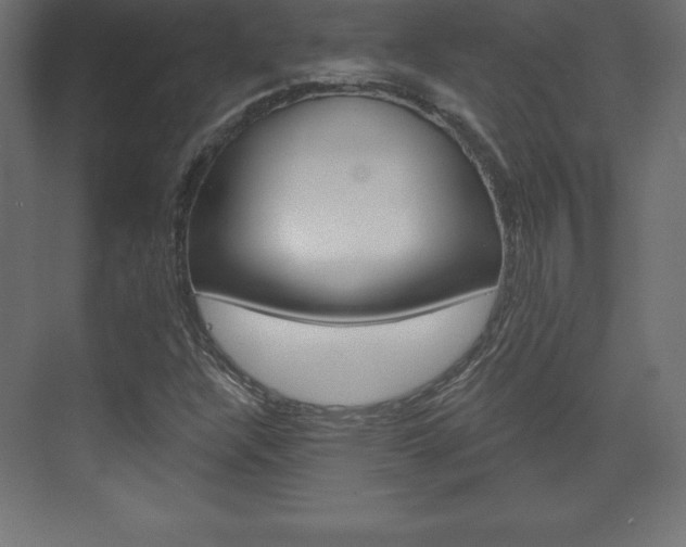 X0000073991304200608211031