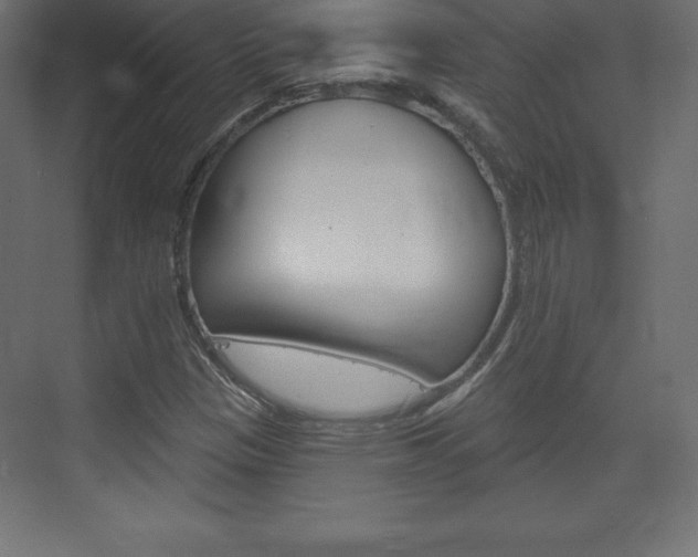 X0000073991305200608211031