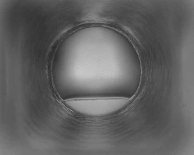X0000073991307200608211031