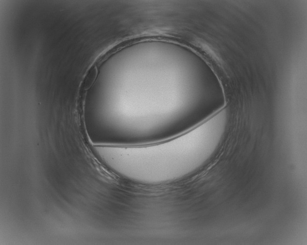 X0000073991308200608211031