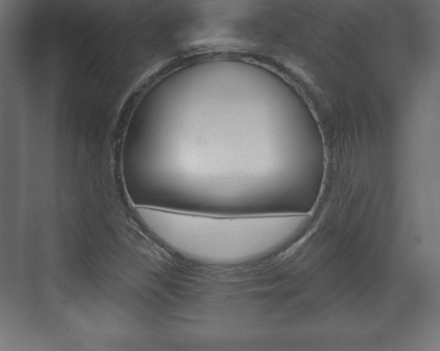 X0000073991309200608211031