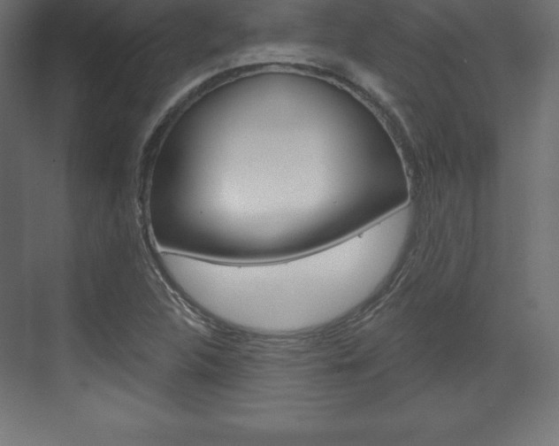 X0000073991312200608211031