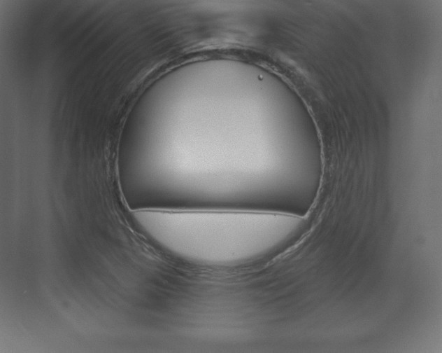 X0000073991313200608211031