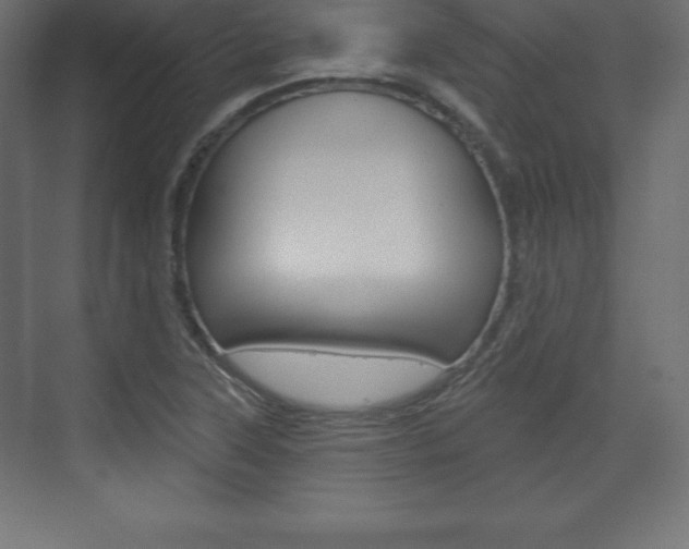 X0000073991315200608211032