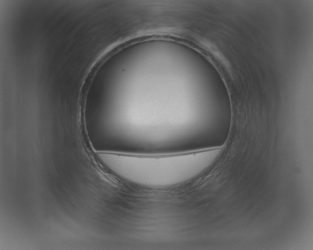 X0000073991316200608211032