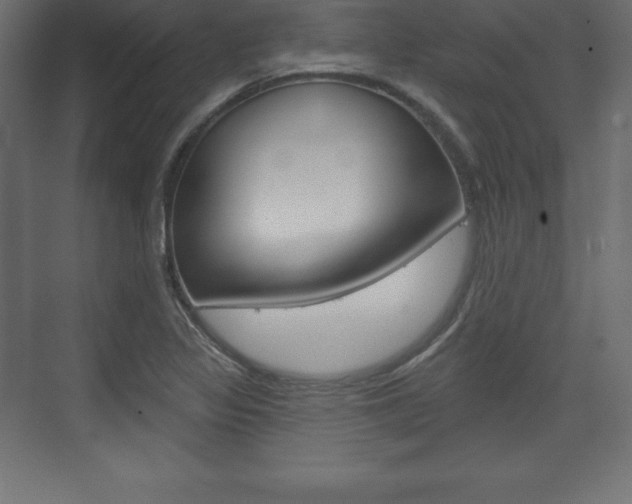 X0000073991317200608211032