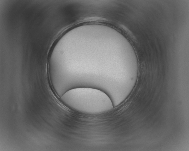 X0000073991322200608211032