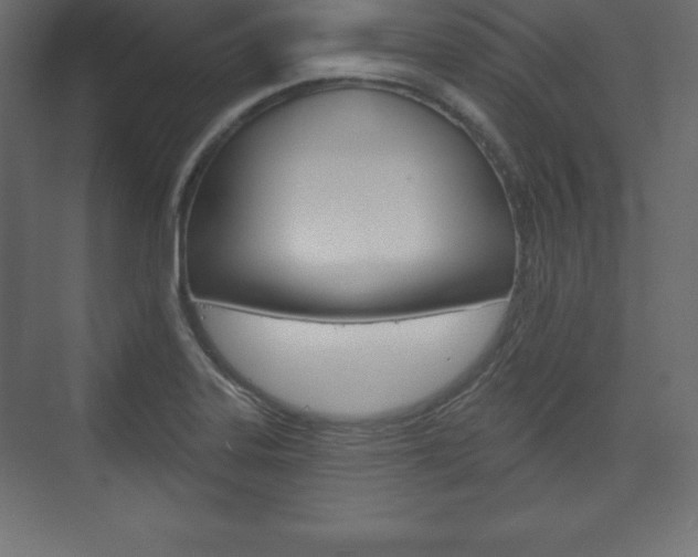 X0000073991323200608211032
