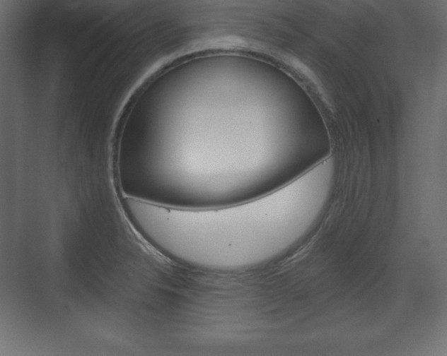 X0000073991326200608211032