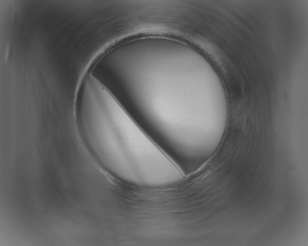 X0000073991327200608211032