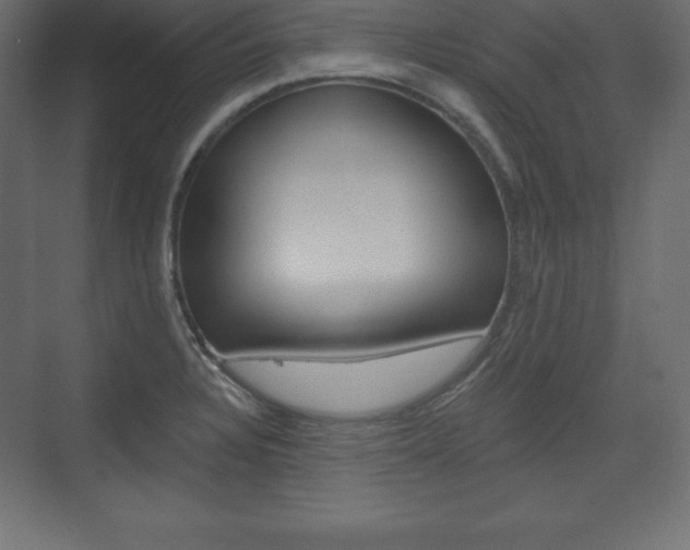 X0000073991328200608211032