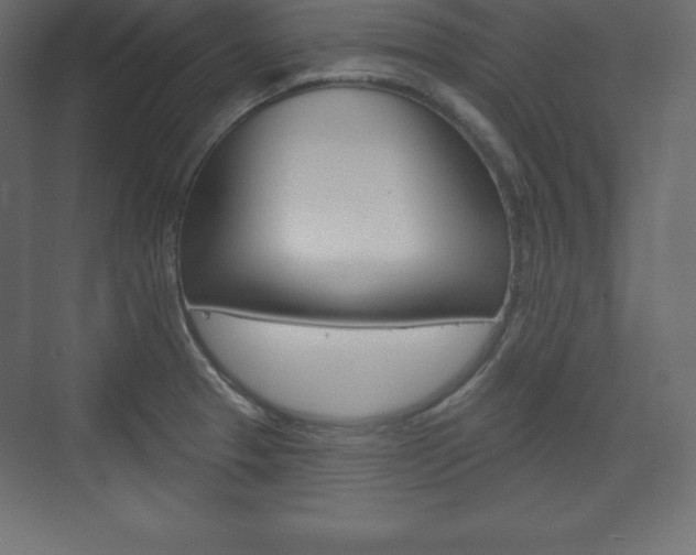 X0000073991329200608211032