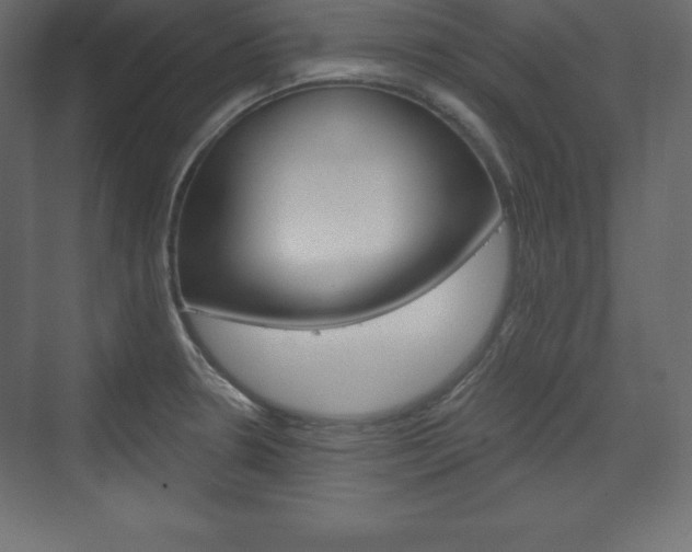 X0000073991330200608211032