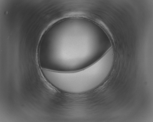 X0000073991336200608211032