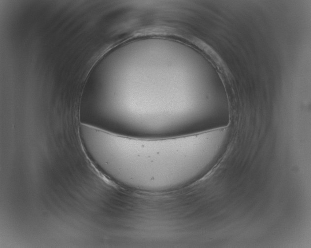 X0000073991337200608211032