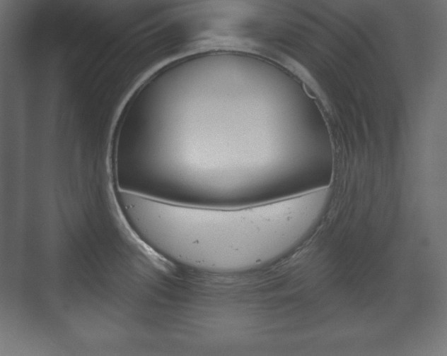 X0000073991339200608211032