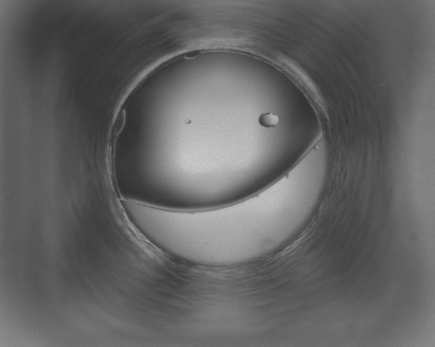 X0000073991340200608211032
