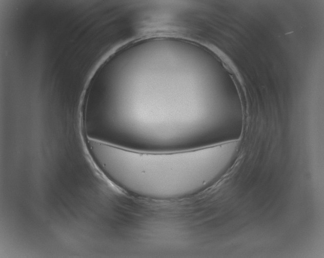 X0000073991341200608211032