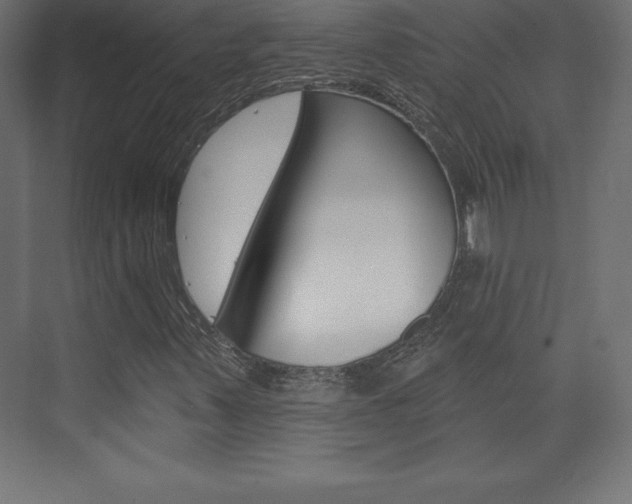 X0000073991347200608211031