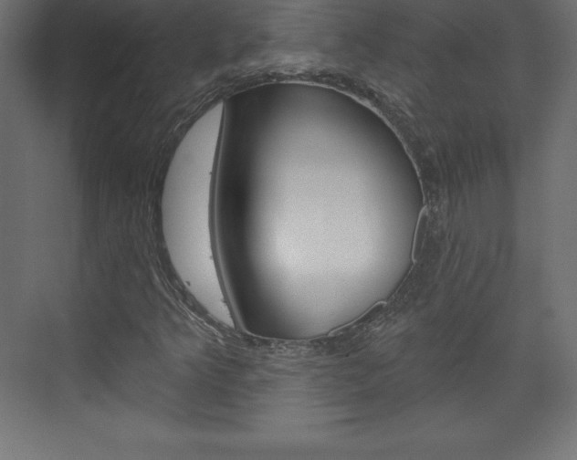 X0000073991349200608211031