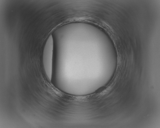 X0000073991353200608211031
