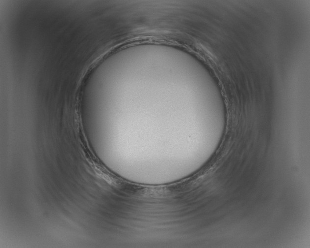 X0000073991354200608211031