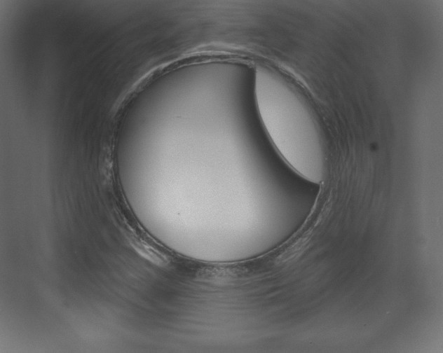 X0000073991355200608211031
