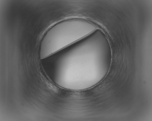 X0000073991359200608211031