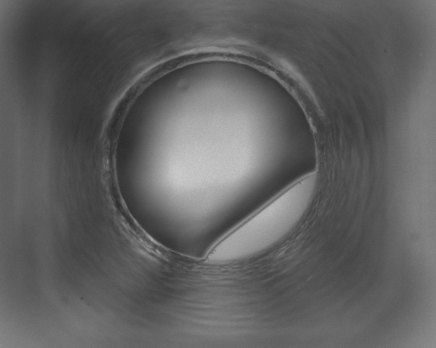 X0000073991360200608211031
