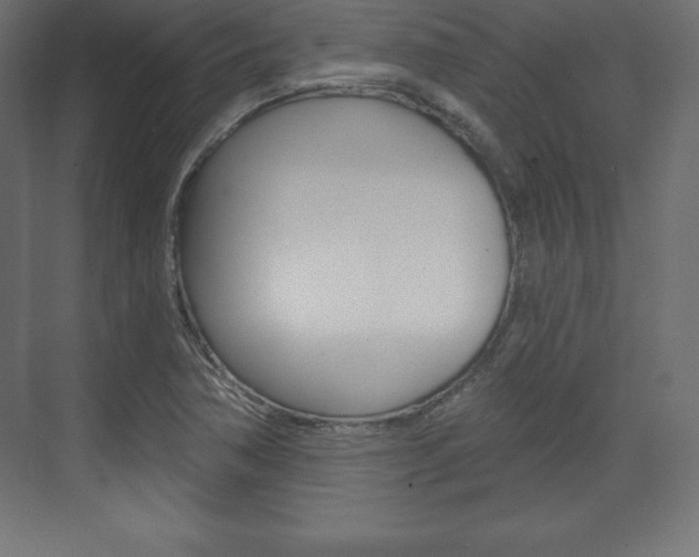 X0000073991362200608211031