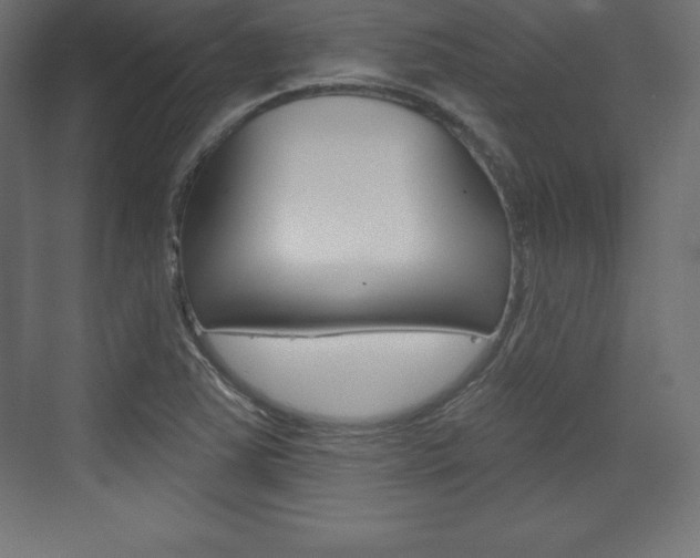 X0000073991363200608211031