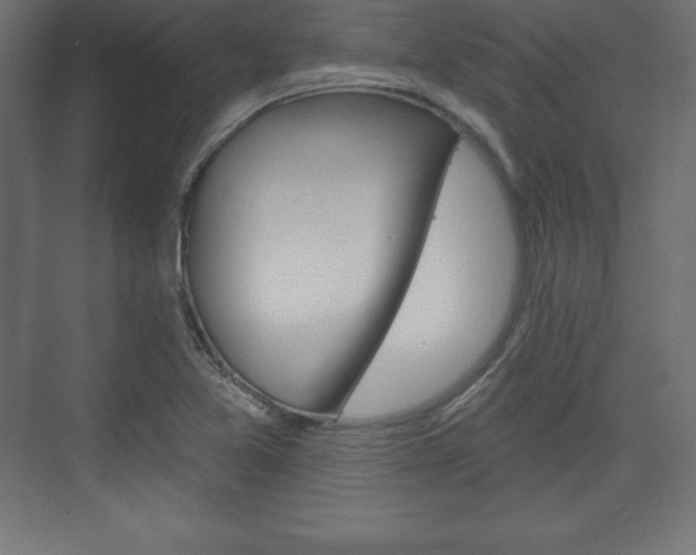 X0000073991365200608211031