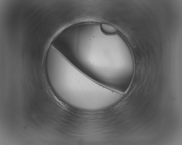 X0000073991367200608211031