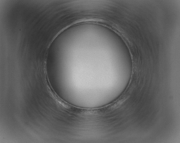 X0000073991369200608211031