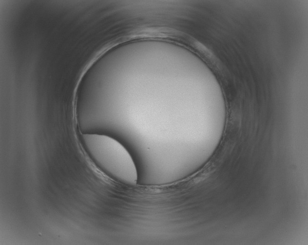 X0000073991370200608211031