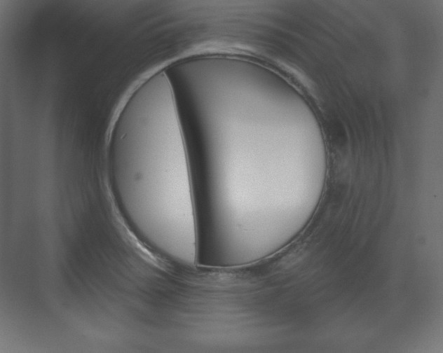X0000073991371200608211031