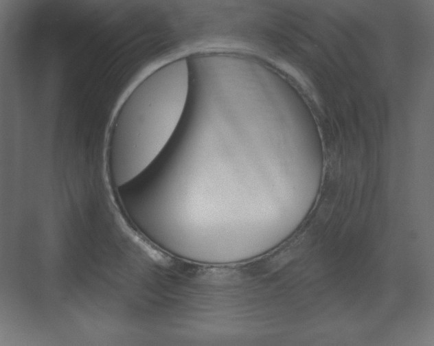 X0000073991374200608211031